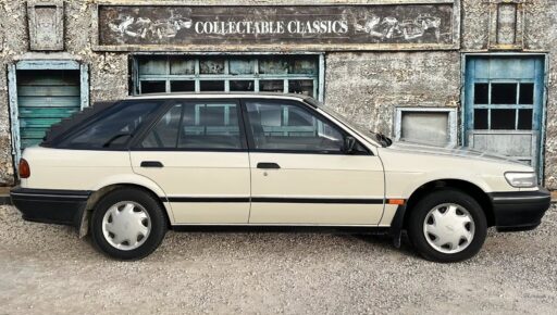 521686504_1309057544554140_2993174076137345152_n